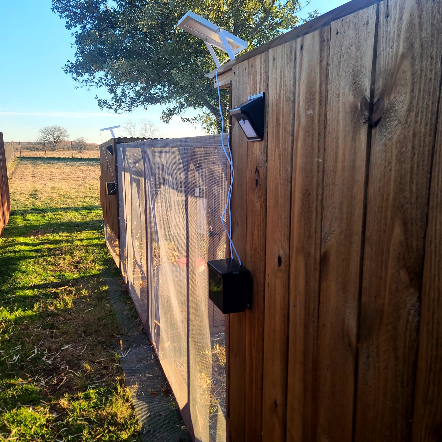 Premium Double Powered Chicken Coop Door with Battery Back Up