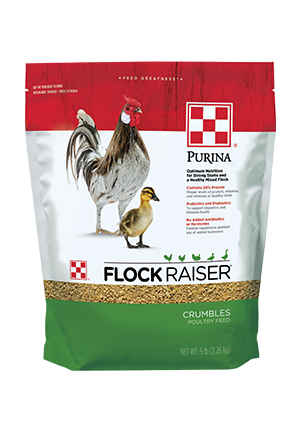 PURINA FLOCK RAISER CR 5LB