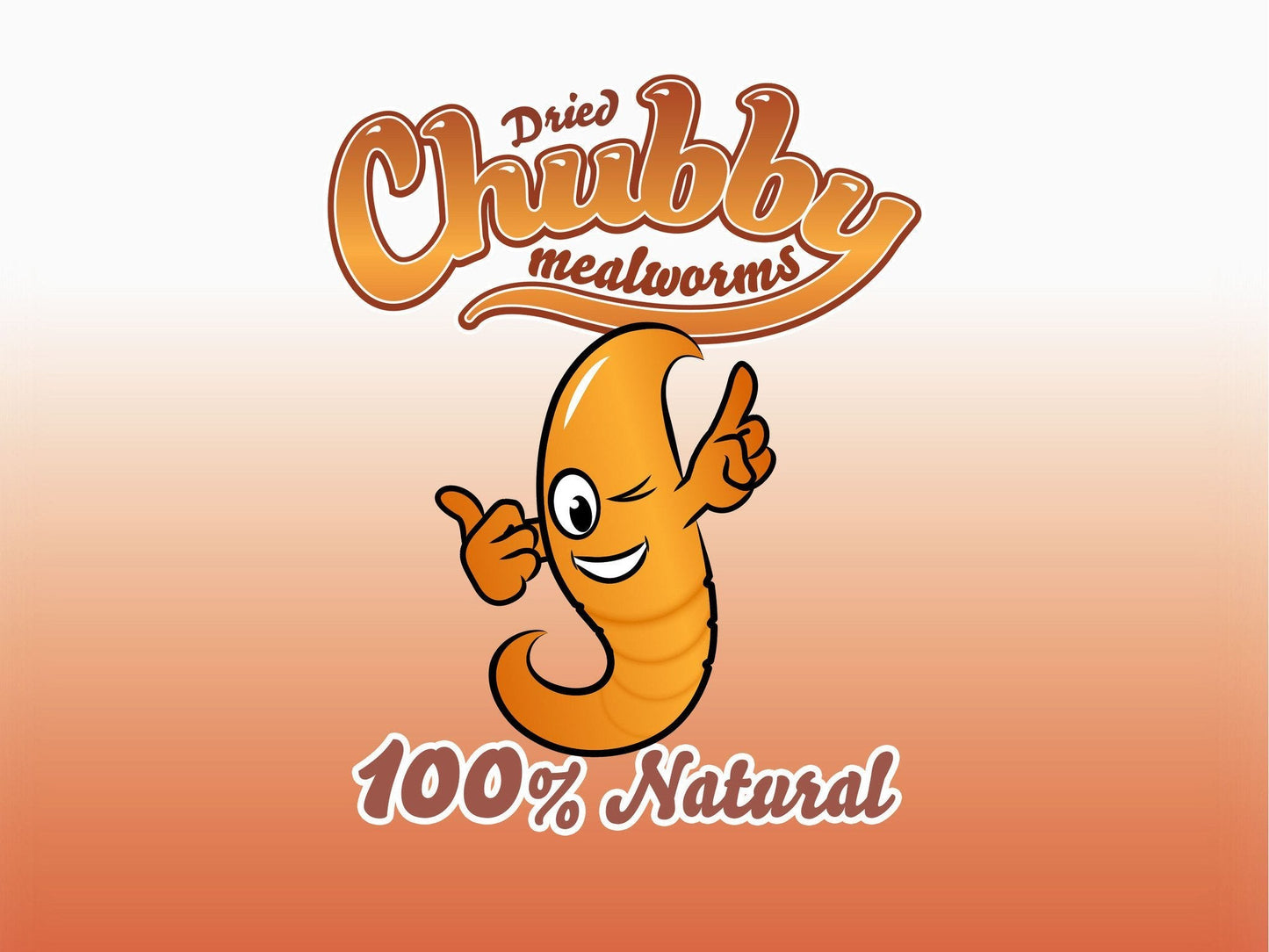 2Lbs Chubby Dried Mealworms