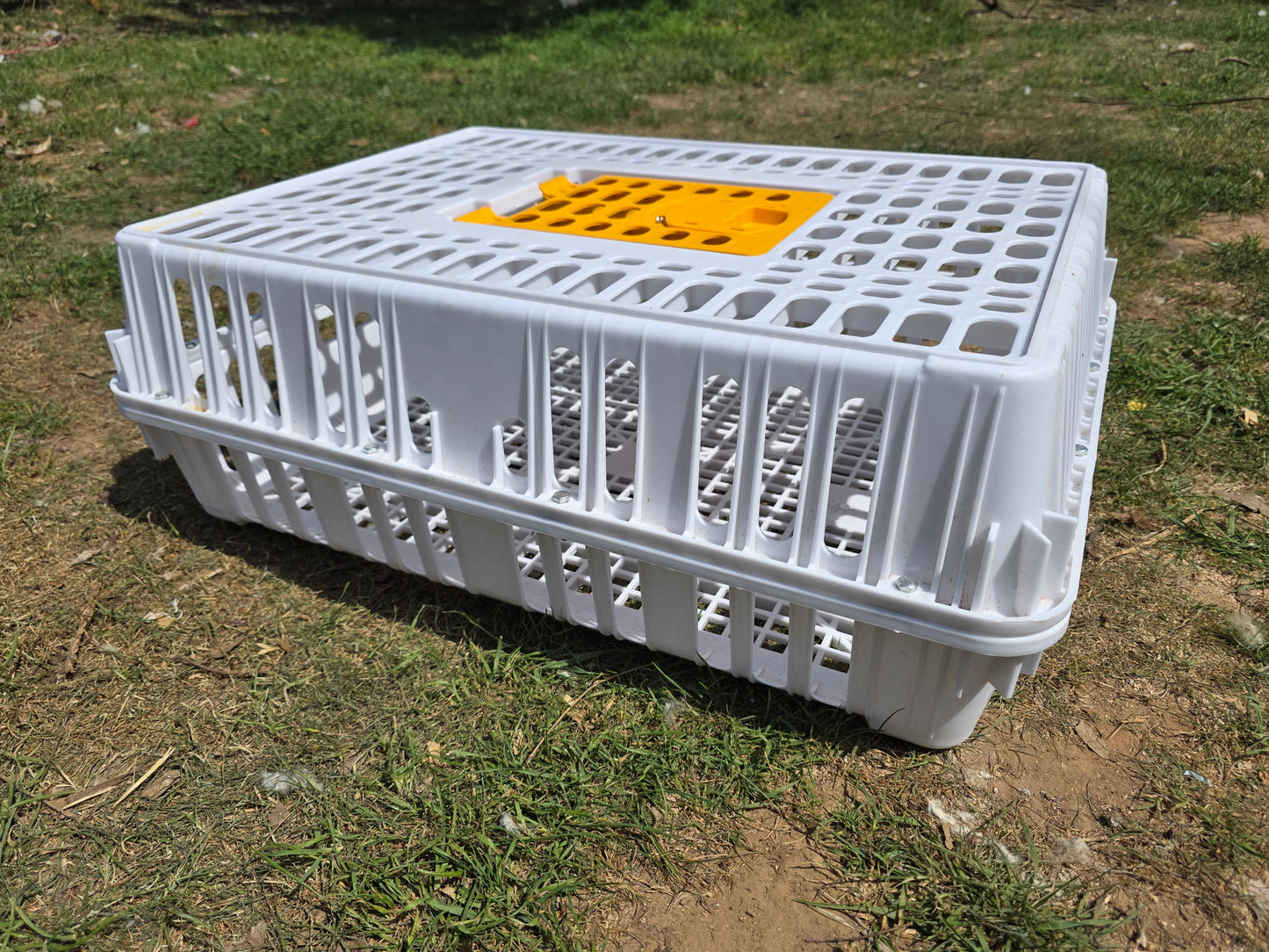 Poultry Transport Crates