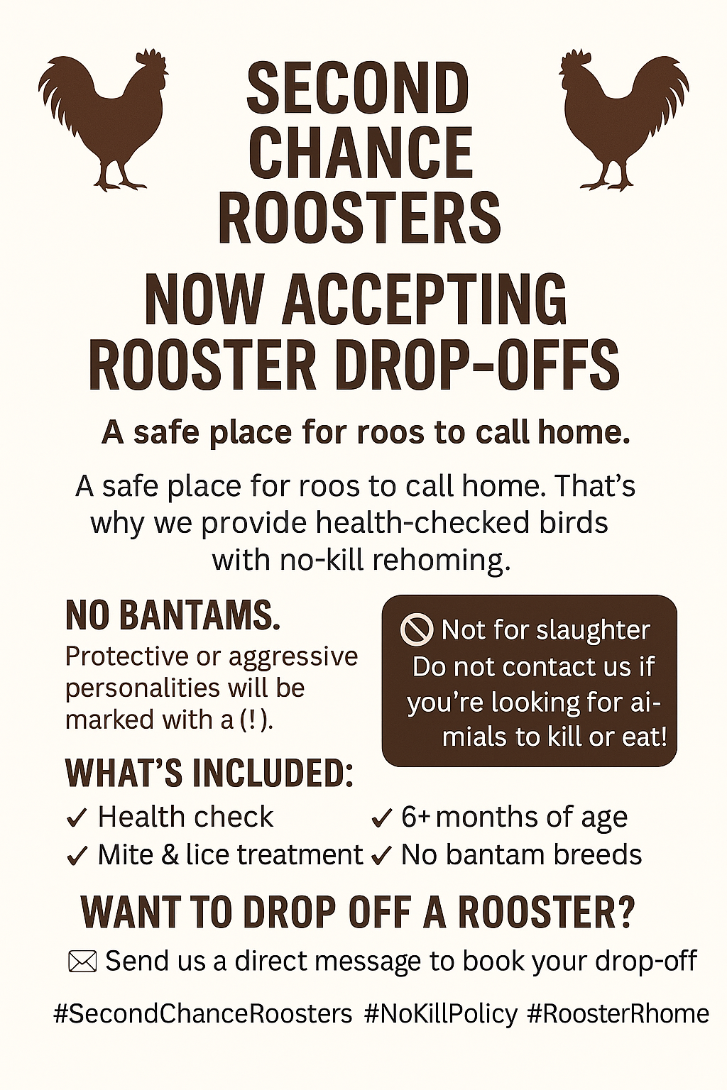 Second Chance Rooster - Tito