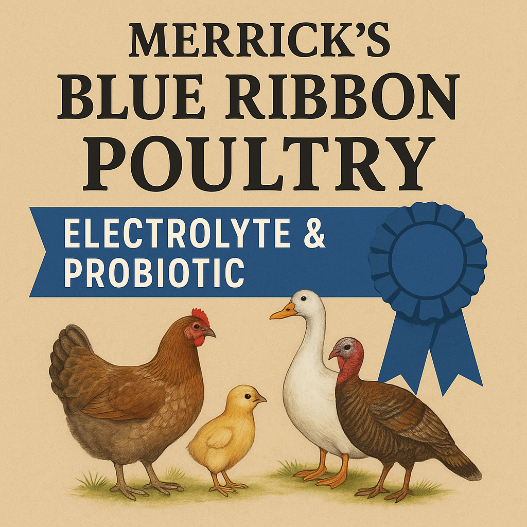 Poultry Electrolyte & Probiotic: Recovery and Resilience in One Packet