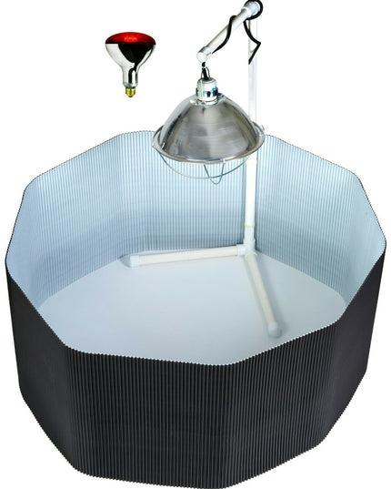 Deluxe Chick Brooder Kit With Corral, Lamp Stand, Lamp, & Bulb