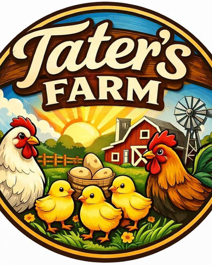 Fertile Chicken Hatching Eggs NPIP Certified