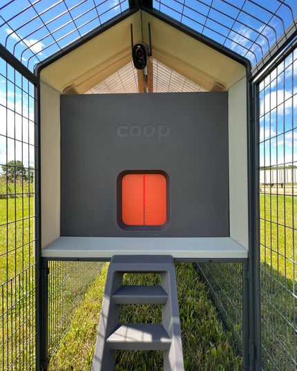 The Smart Coop Unlimited+ (+ Free Chicks! 🐣)