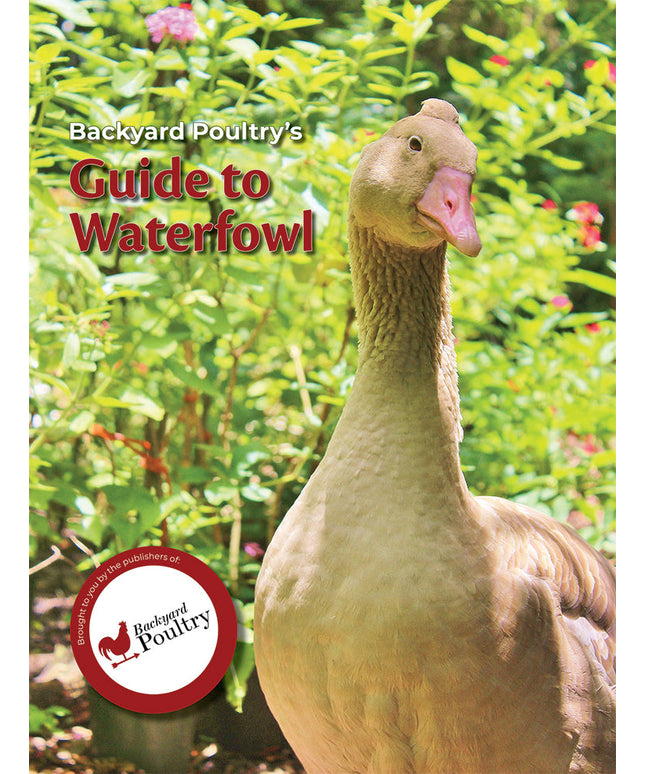 Backyard Poultry's Guide to Waterfowl