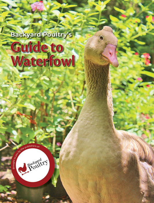 Backyard Poultry's Guide to Waterfowl