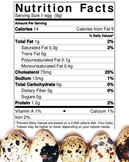 36 Quail Eggs for Hatching - (Online Only)