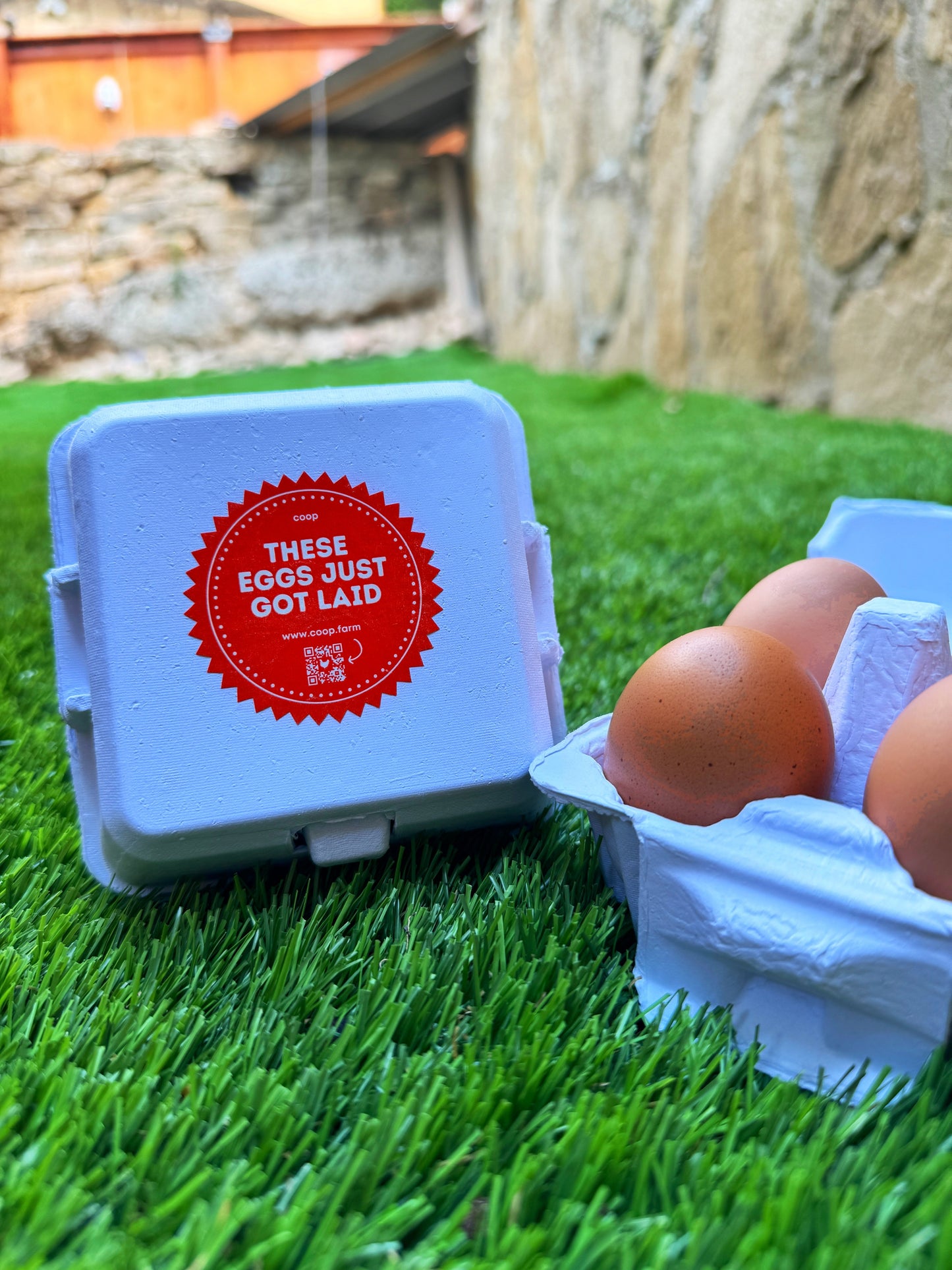 "Just Got Laid" 4-Egg Carton