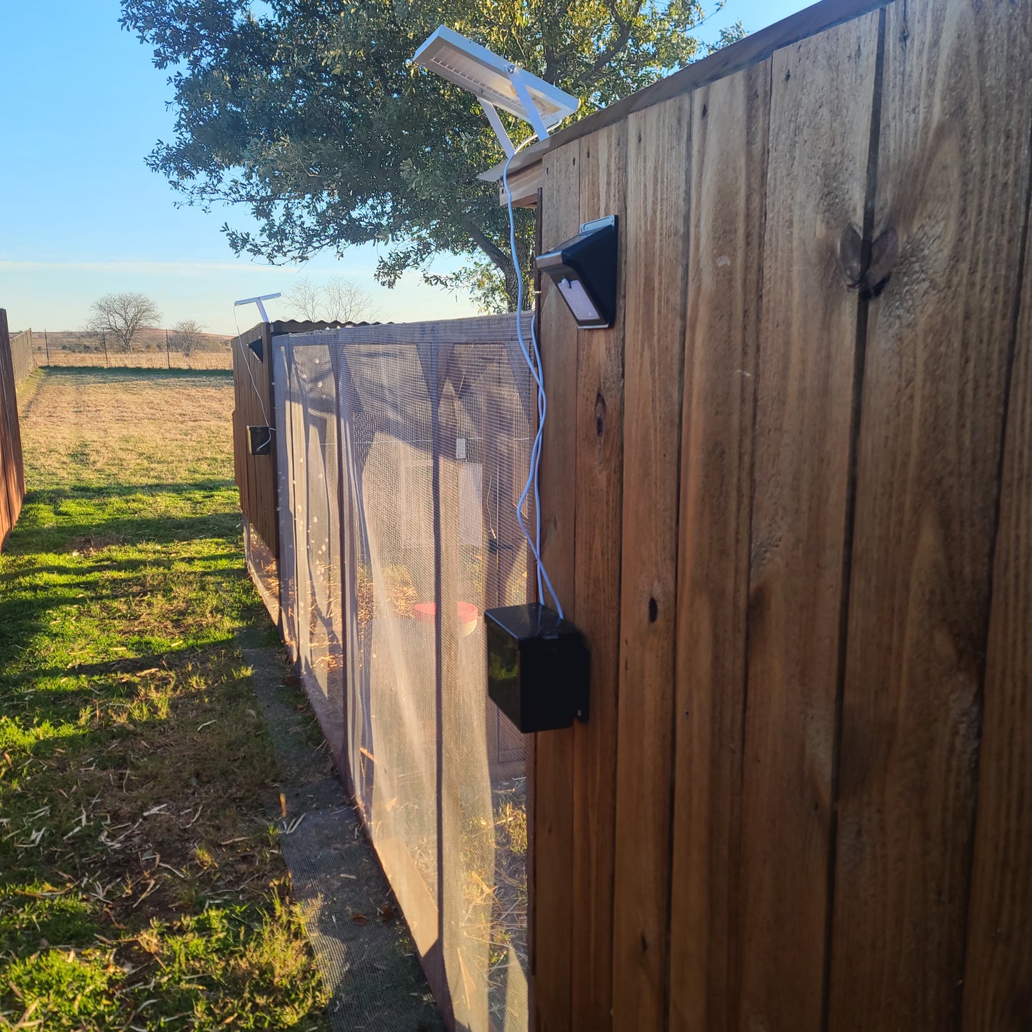 Premium Solar Powered Chicken Coop Door with Battery Back Up