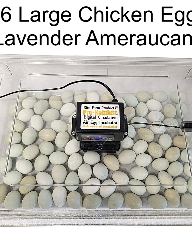 Rite Farm Products PRO Hatcher Incubator for Egg Tray Transfer from Cabinet Incubators
