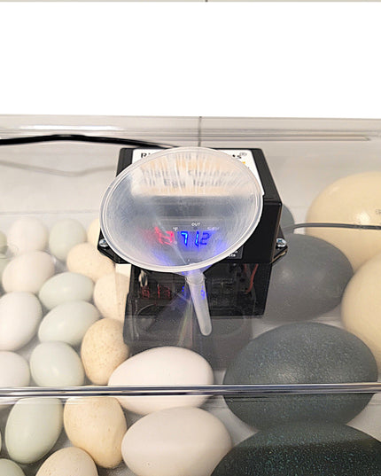 Rite Farm Products PRO Hatcher Incubator for Egg Tray Transfer from Cabinet Incubators