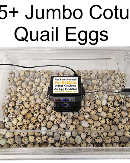 Rite Farm Products PRO Hatcher Incubator for Egg Tray Transfer from Cabinet Incubators