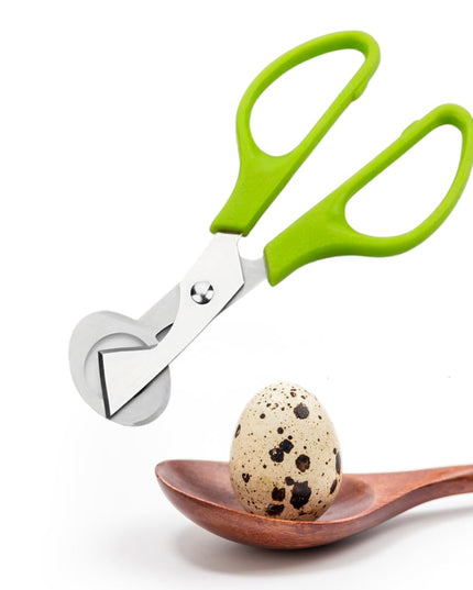 Fresh Quail Eggs Laid in the US