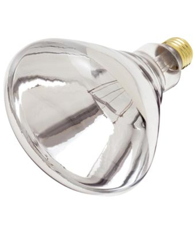 HEAT LAMP CLEAR 250 WT