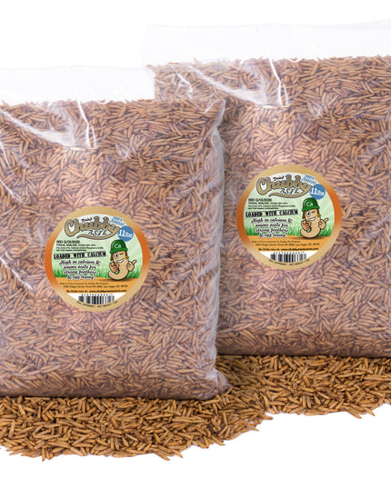 22LB Chubby Dried Black Soldier Fly Larvae