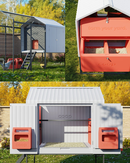 The Smart Coop + Steel Run (+ Free Chicks! 🐣)