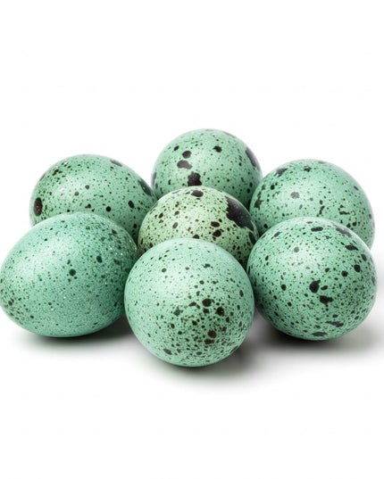 Celadon Coturnix Hatching Eggs