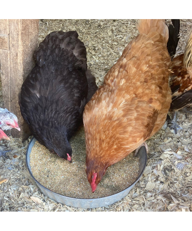 Herbal Layer Feed With Oregano & Garlic - [Oyster Shells Pre-mixed in]