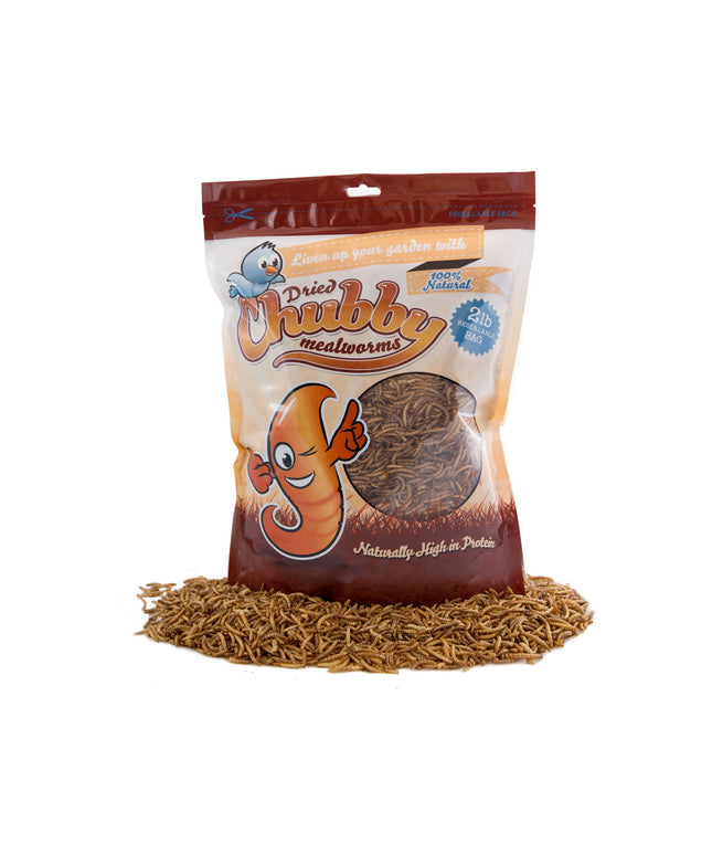 2Lbs Chubby Dried Mealworms