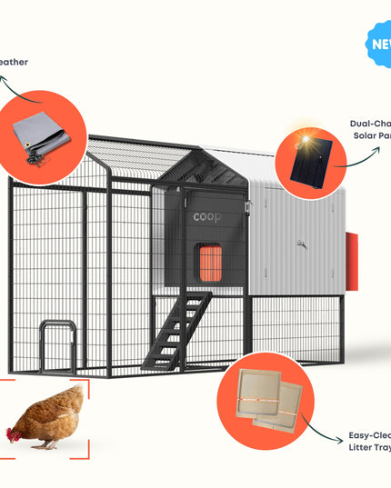 The Smart Coop Unlimited+ (+ Free Chicks! 🐣)