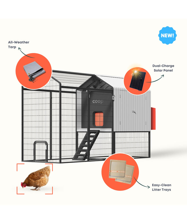 The Smart Coop Unlimited+ (+ Free Chicks! 🐣)