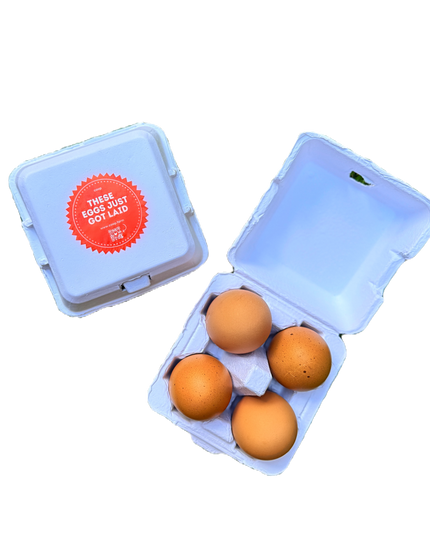 "Just Got Laid" 4-Egg Carton