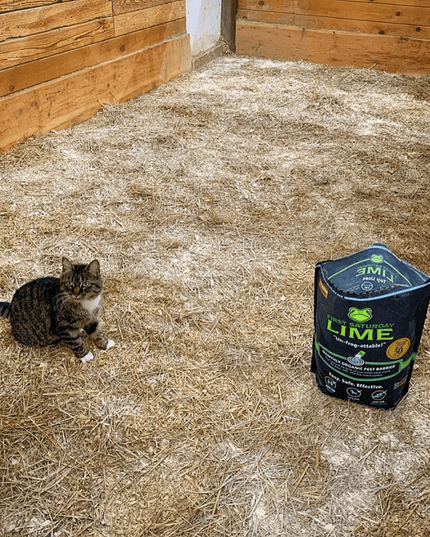 First Saturday Lime Insect Repellent