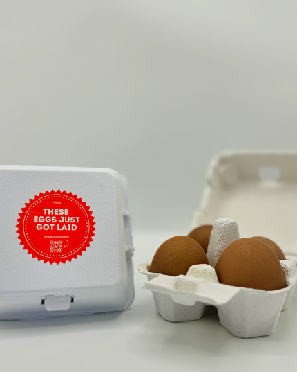 "Just Got Laid" 4-Egg Carton