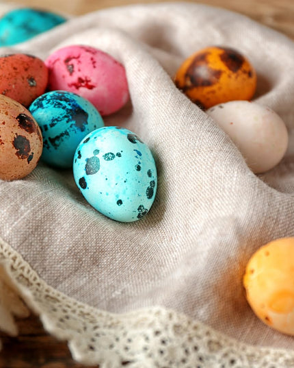 Empty Whole Eggshells Quail Eggs Hollowed - Set of 10 Cleaned Hollow Quail Eggs Perfect for Crafting and Decoration