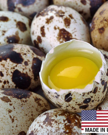 Fresh Quail Eggs Laid in the US