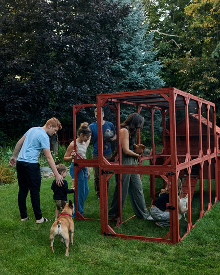 Chicken Coop for 10 Chickens - Rhode Island Homestead (Hen House Only)
