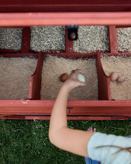 Chicken Coop for 10 Chickens - Rhode Island Homestead (Hen House Only)