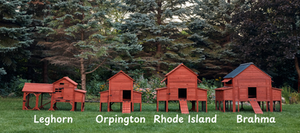 Chicken Coop for 6 Chickens – Orpington Lodge