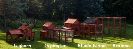 Chicken Coop for 6 Chickens – Orpington Lodge