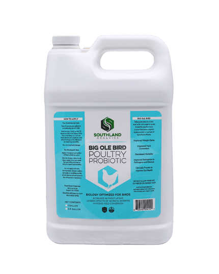Big Ole Bird | Probiotics for Poultry