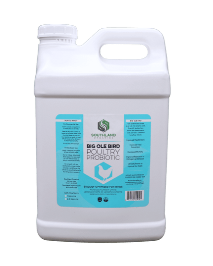 Big Ole Bird | Probiotics for Poultry