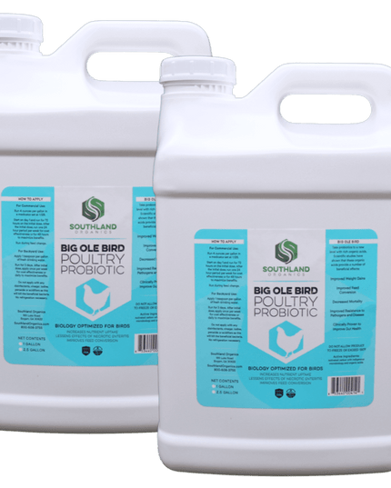 Big Ole Bird | Probiotics for Poultry