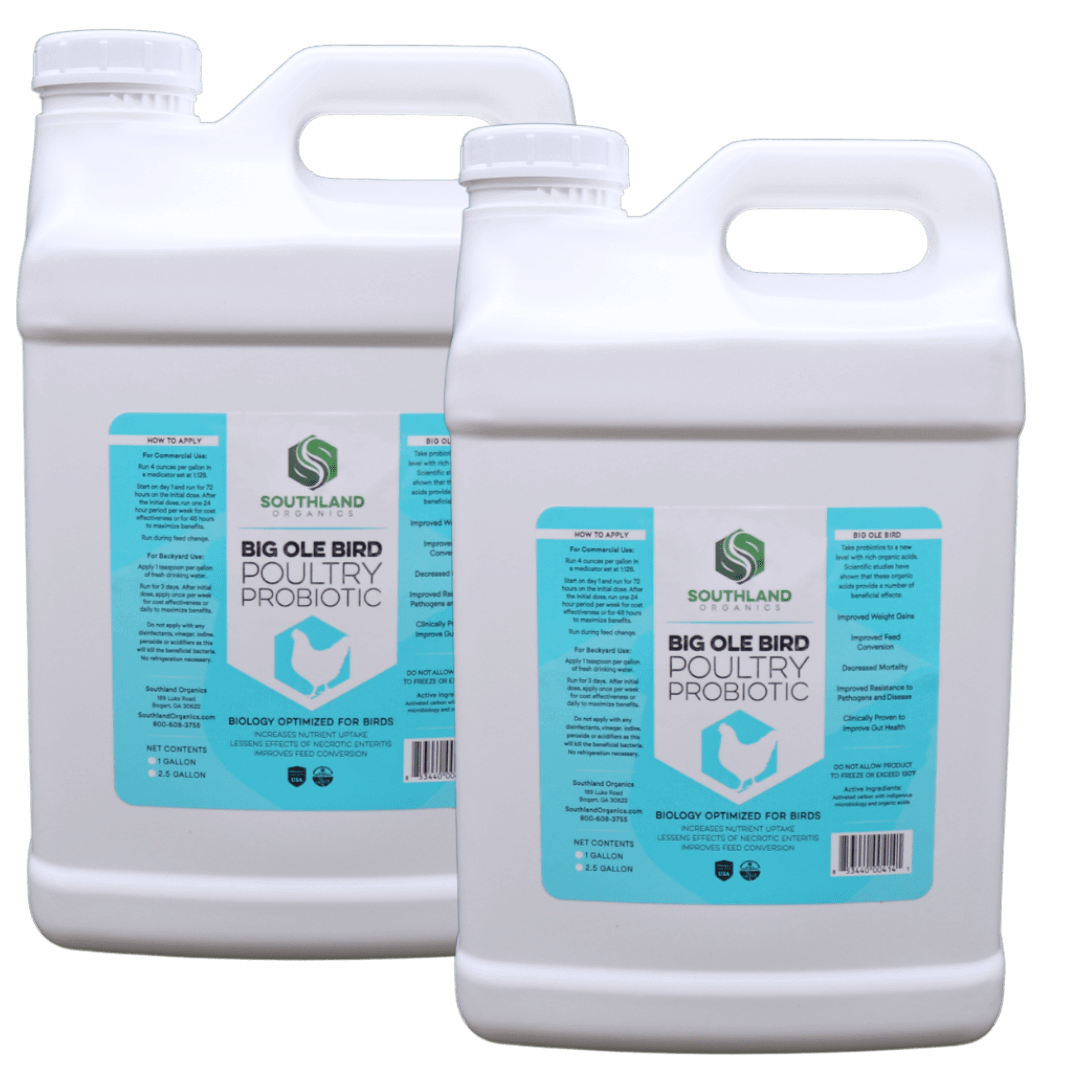 Big Ole Bird | Probiotics for Poultry
