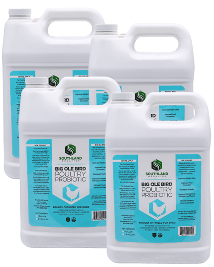 Big Ole Bird | Probiotics for Poultry
