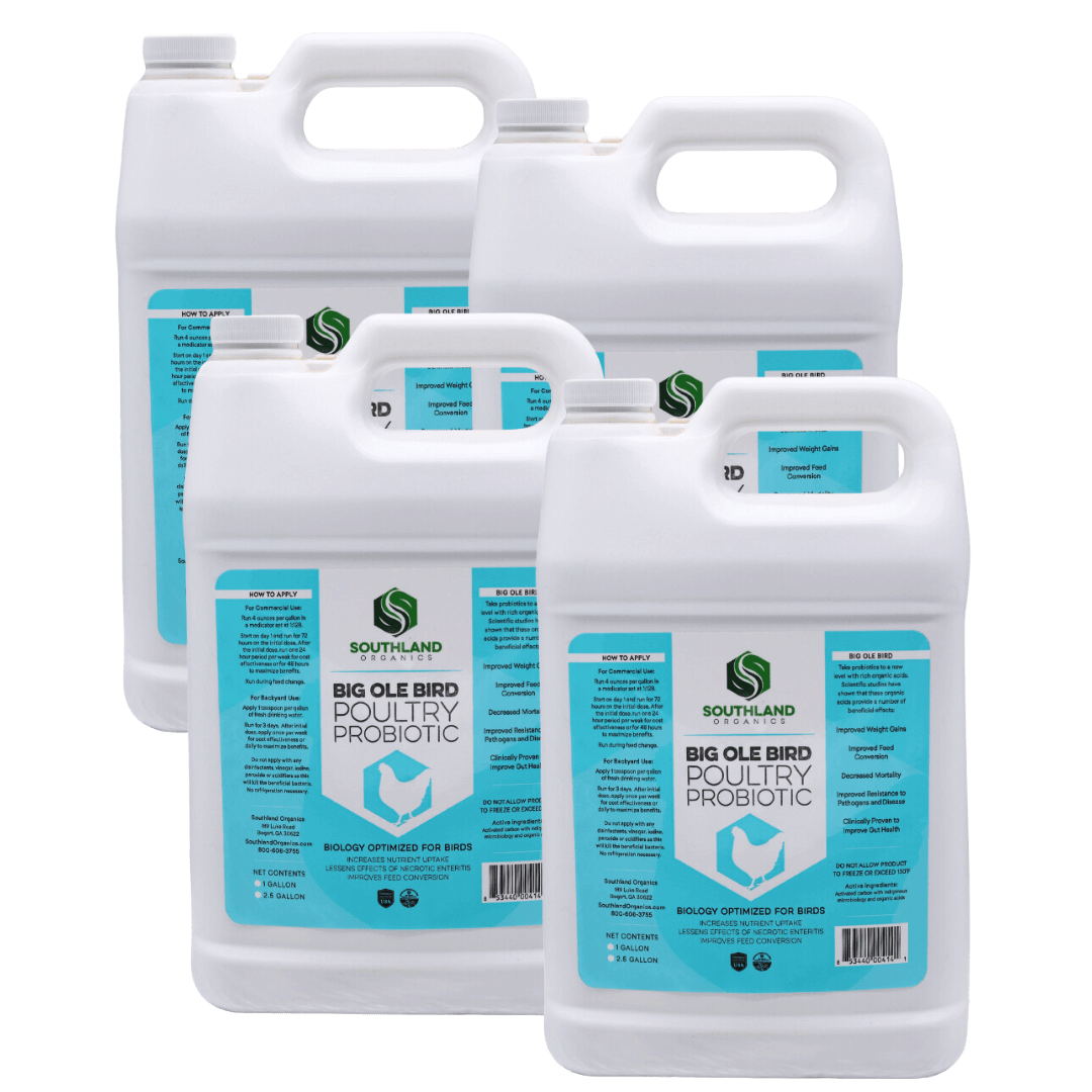 Big Ole Bird | Probiotics for Poultry