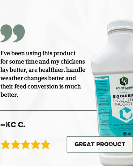 Big Ole Bird | Probiotics for Poultry