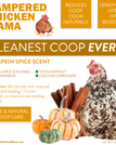 Pumpkin Spice
