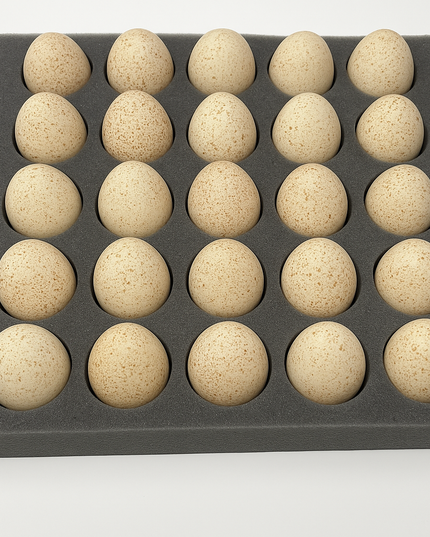 25 Hole Egg Shipping Foam – For Turkeys, Ducks & Chicken Eggs