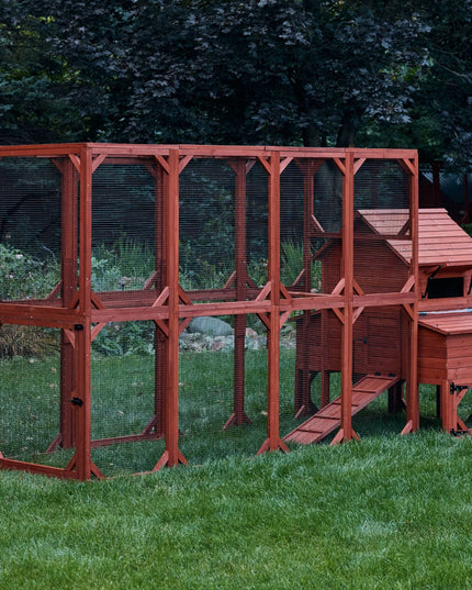 Chicken Coop for 6 Chickens – Orpington Lodge