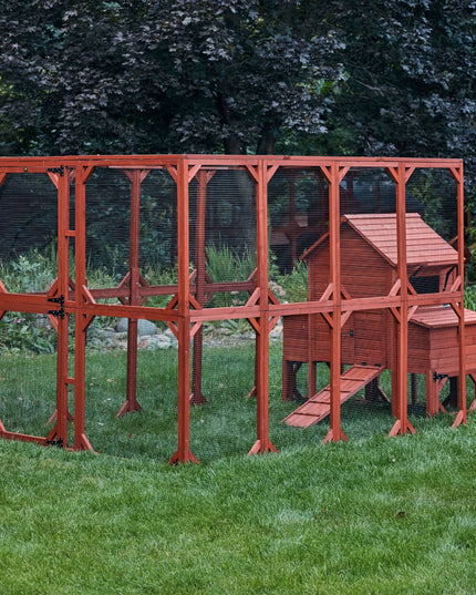 Chicken Coop for 6 Chickens – Orpington Lodge