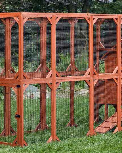 Chicken Coop for 6 Chickens – Orpington Lodge