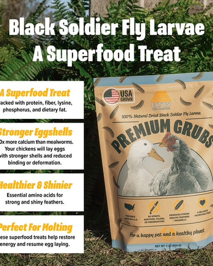 Premium Grubs, USA Grown Dried Black Soldier Fly Larvae, High Calcium Treat for Chickens, Ducks, Wild Birds