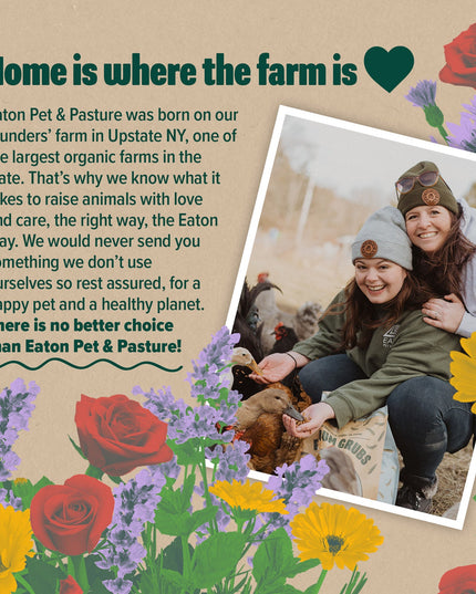 Premium Nesting Herbs, Aromatic Blend for Nesting Boxes & Chicken Coop, Natural Refresher & Pest Deterrent