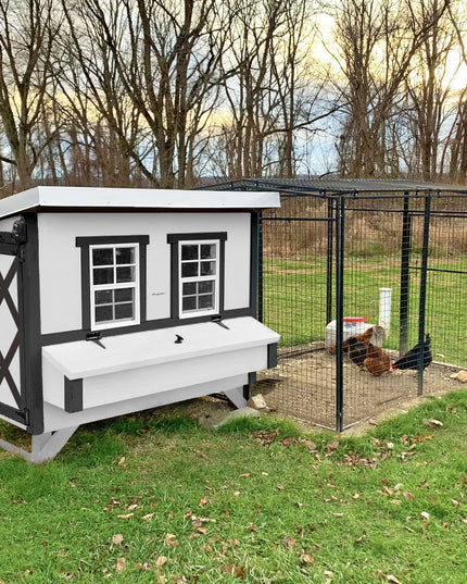 Large Chicken Coop – Houses Up to 15 Chickens